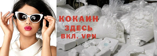 стаф Козловка