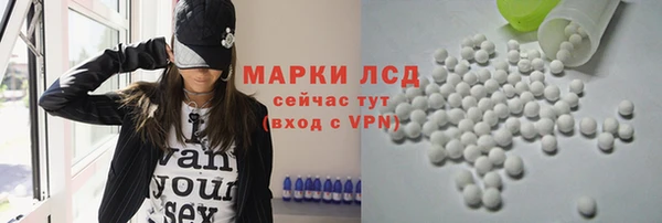 стаф Козловка