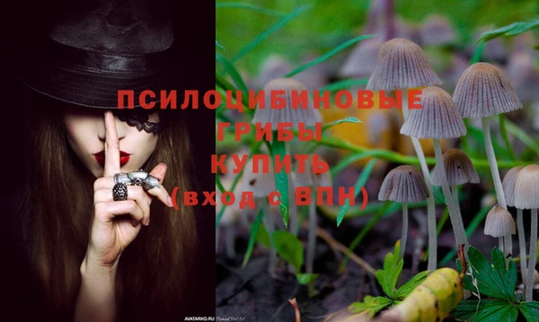 эйфоретик Кодинск