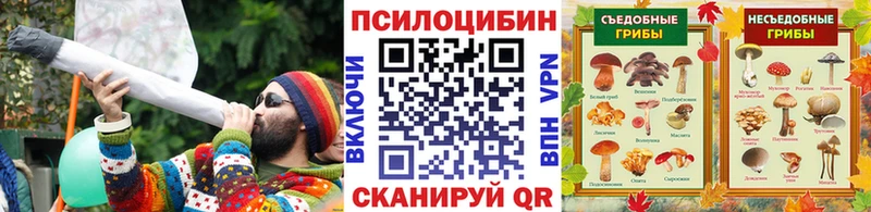 Псилоцибиновые грибы мицелий Кировград